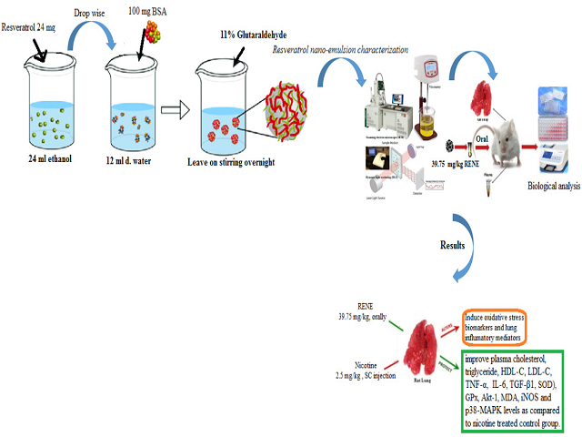 Resveratrol Nanoemulsion; A Promising Inhibitor against Mitogen-Activated Protein Kinase - Dependent Inflammation and Ameliorates Nicotine induced-lung Toxicity in Rats