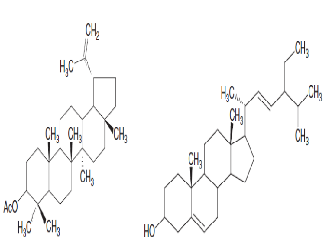 Figure 1 & Figure 2