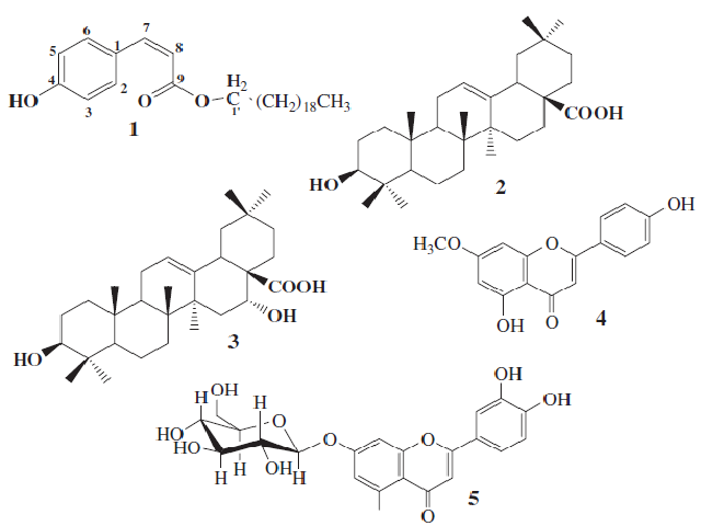 Structure of compounds 1-5