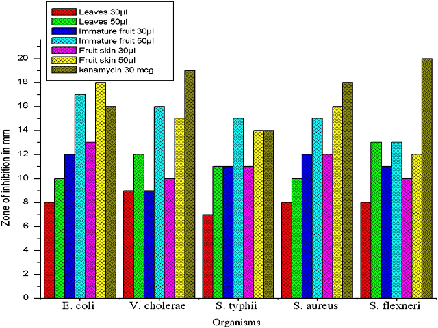 Antimicrobial activity of C. urens methanol extracts. Zone of inhibition (mm).