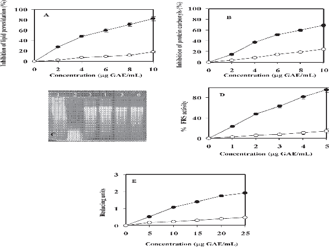 Antioxidant potency of ASFP (-●-) and ASBP (-○-)