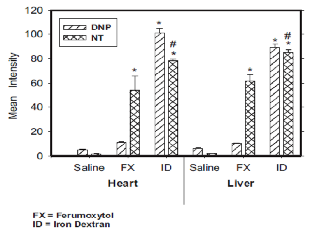 Relative densities of DNP and NT of the heart and liver in animals treated with ferumoxytol and iron dextran. Each bar is the mean  SEM of 6 individual rats. * ¼ Significantly different from control (p < 0.05); # ¼ Mean intensity times 10.
