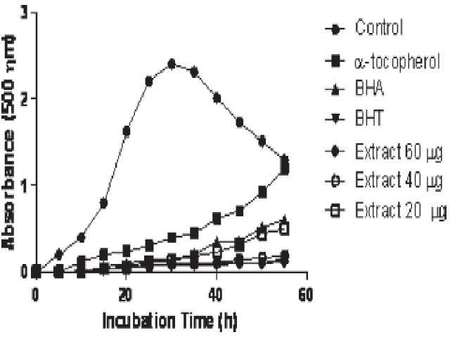 Total antioxidant activities of Carthamus tinctorius extract (20 μg/ mL) and standard antioxidant compounds such as BHA, BHT and α-tocopherol at the concentration of 60 μg/mL (BHA: butylated hydroxyanisole, BHT: butylated hydroxytoluene)