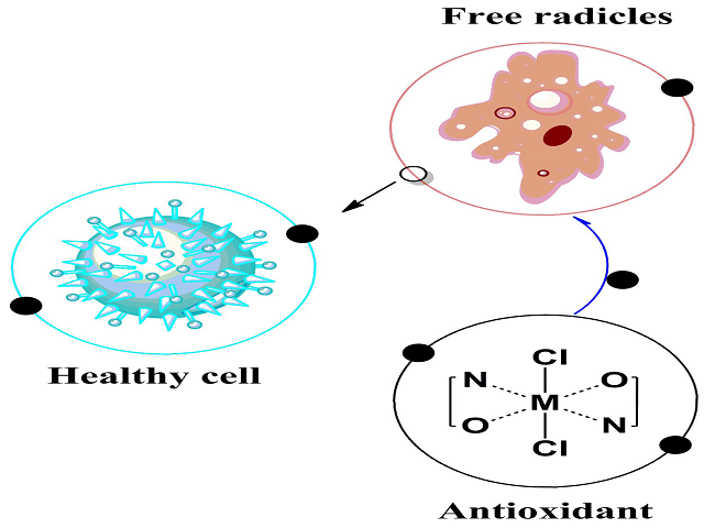 Synthesis of Schiff base Metal Complexes with Motivating Scavenging Potential Studies