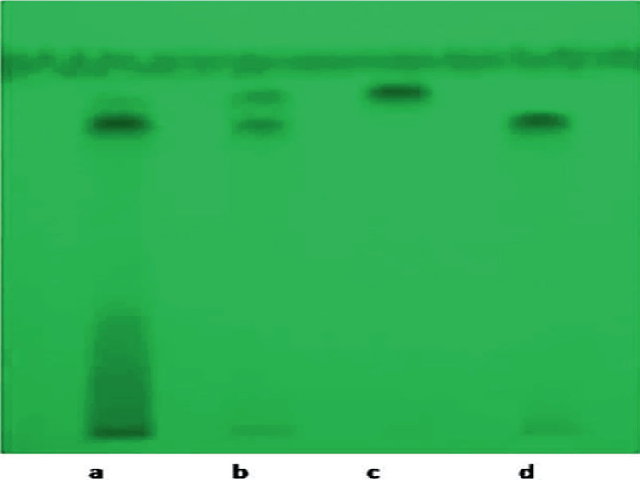 HPTLC finger printing of ethyl acetate fraction of E. jambolana L. with isolated compounds U1 and U2