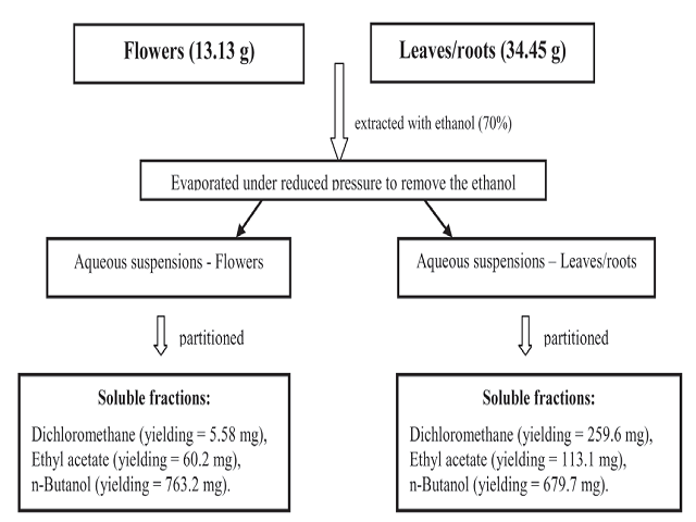 Diagram of the extraction process.