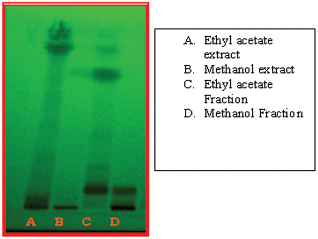 HPTLC Fingerprinting of phenolics compounds of R. tuberosa root extracts.