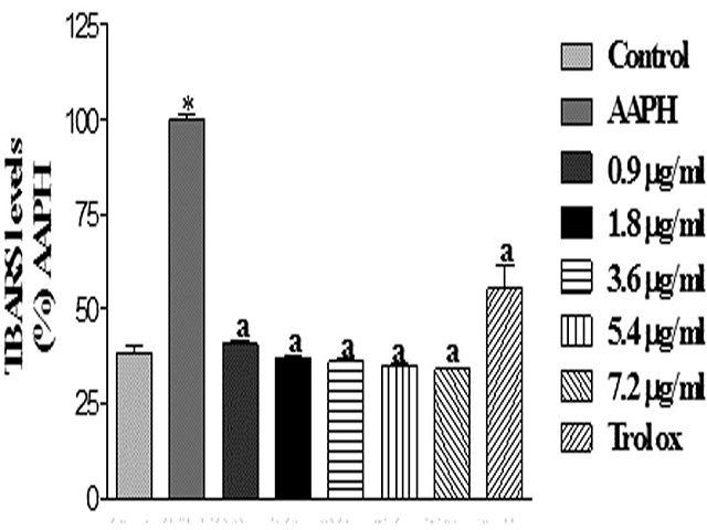 (-)-Isopulegone effects against the production of reactive substances to thiobarbituric acid. Values represent the mean ± E.P.M. of the values of inhibition in vitro, n = 5 experiments in duplicate. ap < 0.001 versus AAPH in relation to the AAPH (ANOVA and t-Student-Neuman-Keuls as post hoc test), *p < 0.001 versus AAPH compared to control (ANOVA and t-Student-Neuman-Keuls as post hoc test).