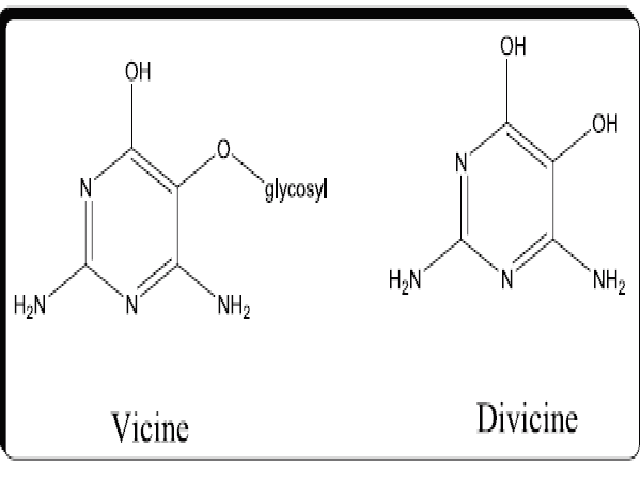Structural formulas of vicine and divicine in V. faba