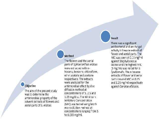 Graphical Abstract