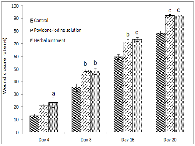 Wound Healing Activity of Herbal Ointment Containing the Extracts of Hibiscus rosa-sinensis Flowers and Curcuma longa Rhizomes