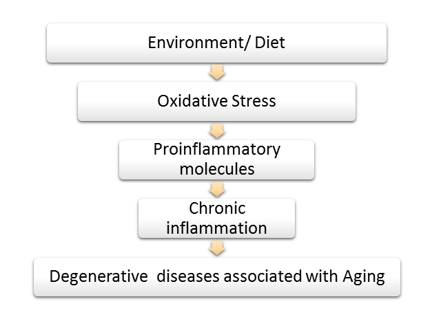 Evaluation of the Antioxidant Activity of Nine Plants Used Medicinally by the Ilkisonko Maasai Community of Kenya