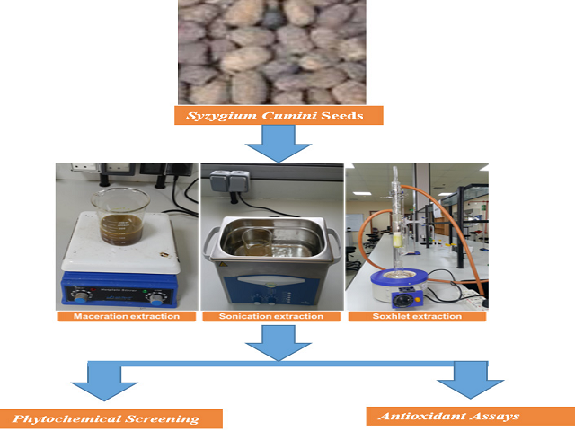 The Effect of Different Extraction Methods on Antioxidant Capacity and Phytochemical Screening of Syzygium cumini Seeds