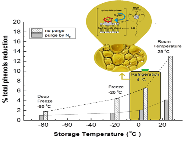 Long-Term Preservation of Total Phenolic Content and Antioxidant Activity in Extra Virgin Olive Oil: A Physico-biochemical Approach