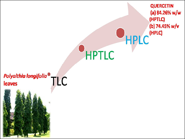 Graphical Abstract