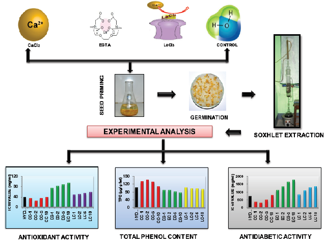 Graphical Abstract