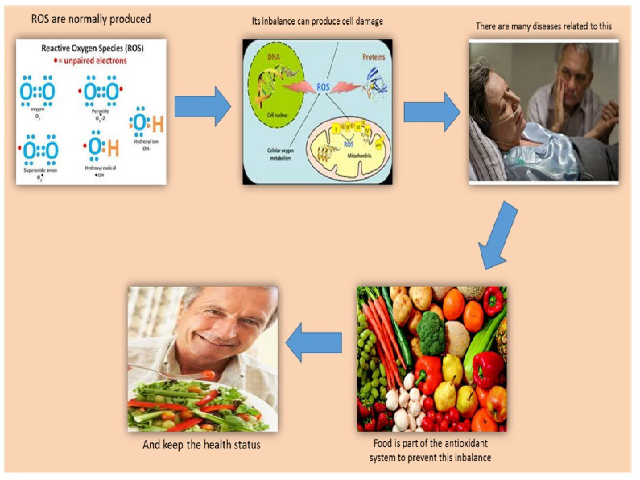 Graphical Abstract