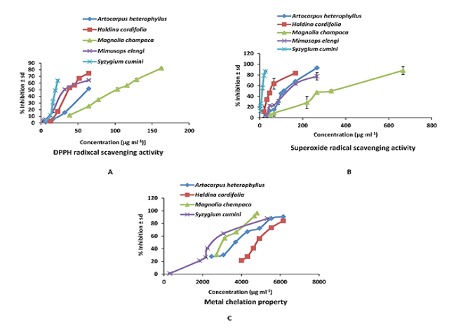 Dose dependent graph; A. DPPH radical scavenging activity B. Superoxide radical scavenging activity C. Metal chelation property.