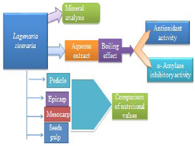 Graphical Abstract