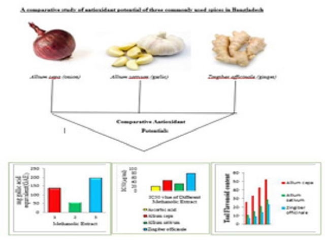 A Comparative Study of Antioxidant Potential of Three Commonly Used Spices in Bangladesh