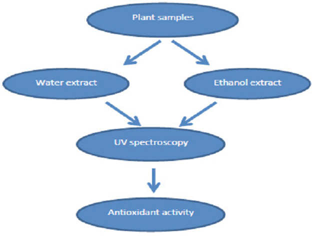 Evaluation of Antioxidant Properties in Thirteen Fijian Medicinal Plants Used in Alzheimer’s Disease and Related Illness