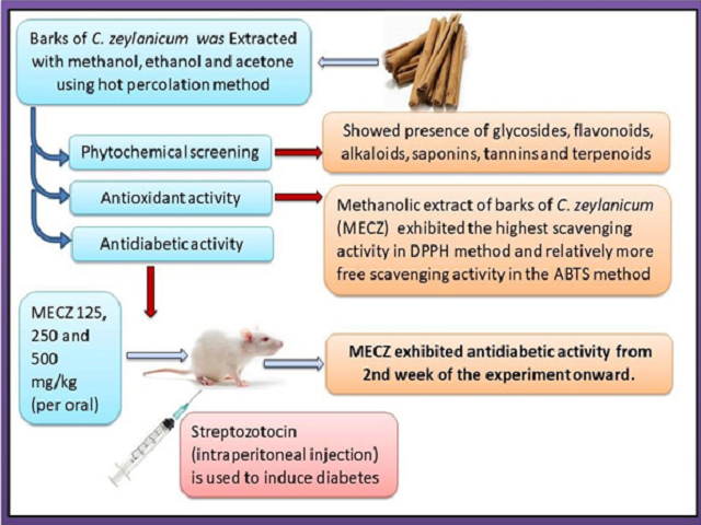 Antioxidant and Antidiabetic Activities of Methanolic extract of Bark of Cinnamomum zeylanicum in Diabetic Rats