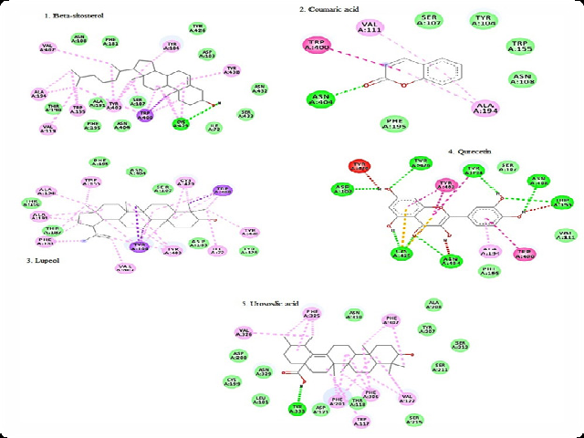 Binding mode and chemical interactions of the bound ligands (1) Beta-sitosterol, (2) Coumaric acid, (3) Lupeol, (4) Qurecetin, and (5) Ursolic acid within the active ligand binding site of M2 muscarinic acetylcholine receptor.